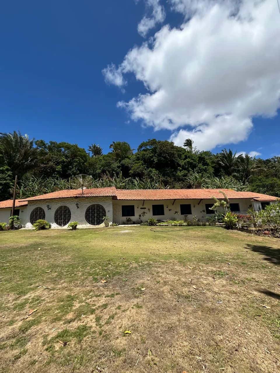 Sítio a venda com 18 hectares com barragem - Imagem 1