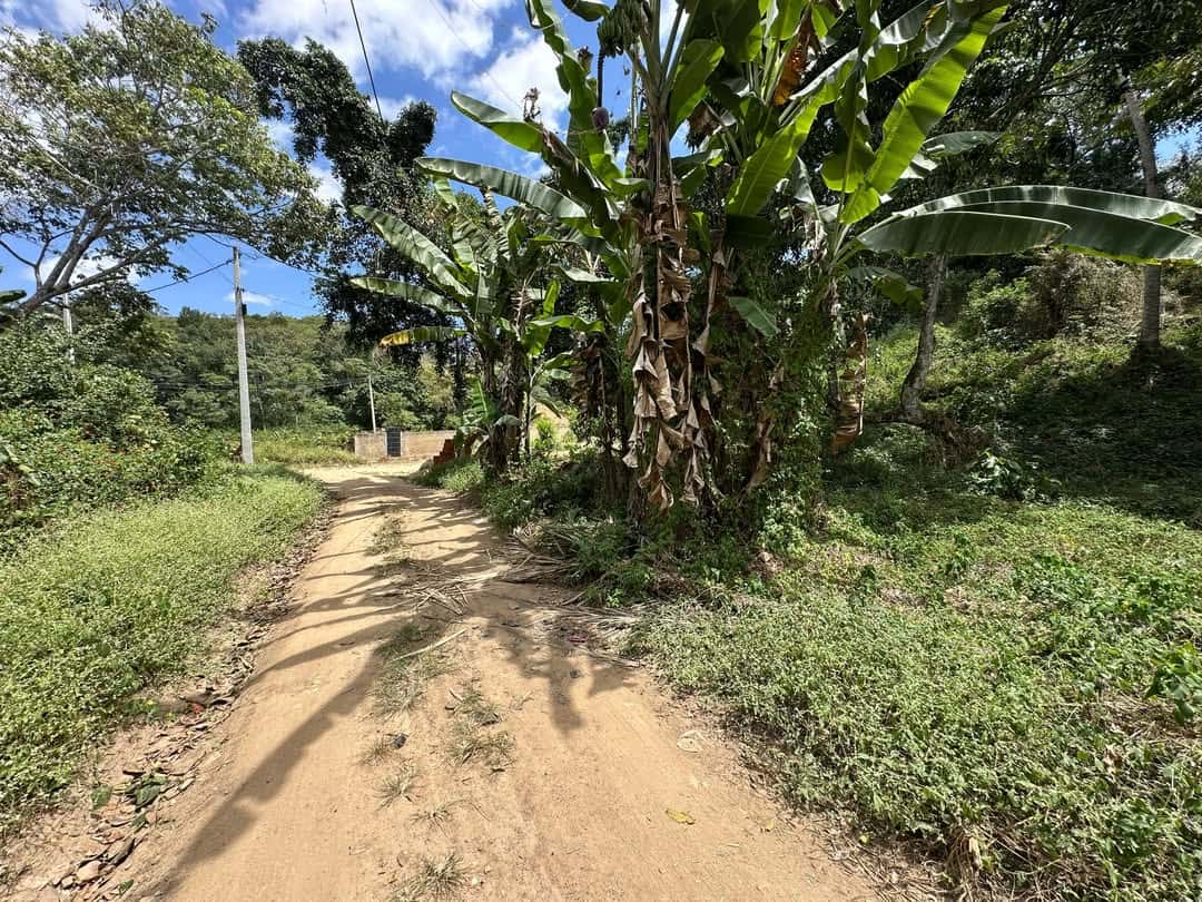 TERRENOS EM MULUNGU EM UMA EXCELENTE - Imagem 1